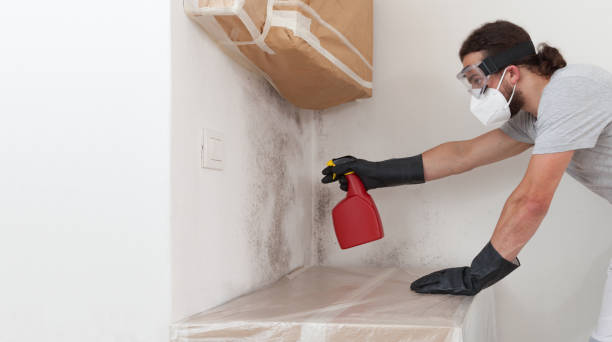 Professional Mold Testing technician working in Mead, CO