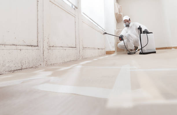 24/7 Emergency Mold Testing experts in Mead, CO
