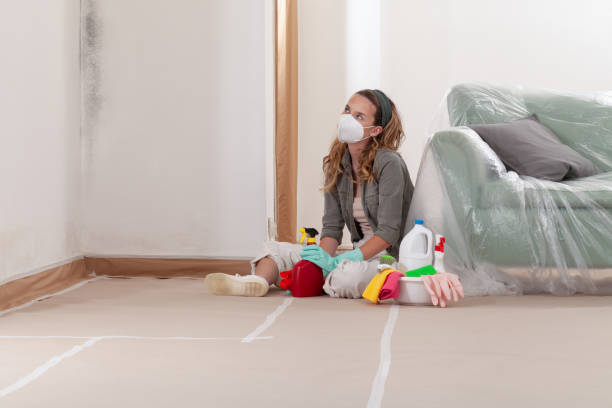 Reliable Mold Testing contractor in Mead, CO by WQB Mold Removal